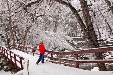 Snowy Bridge.jpg